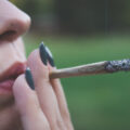 Pesticiden in cannabis: waarom thuiskwekers schonere wiet roken