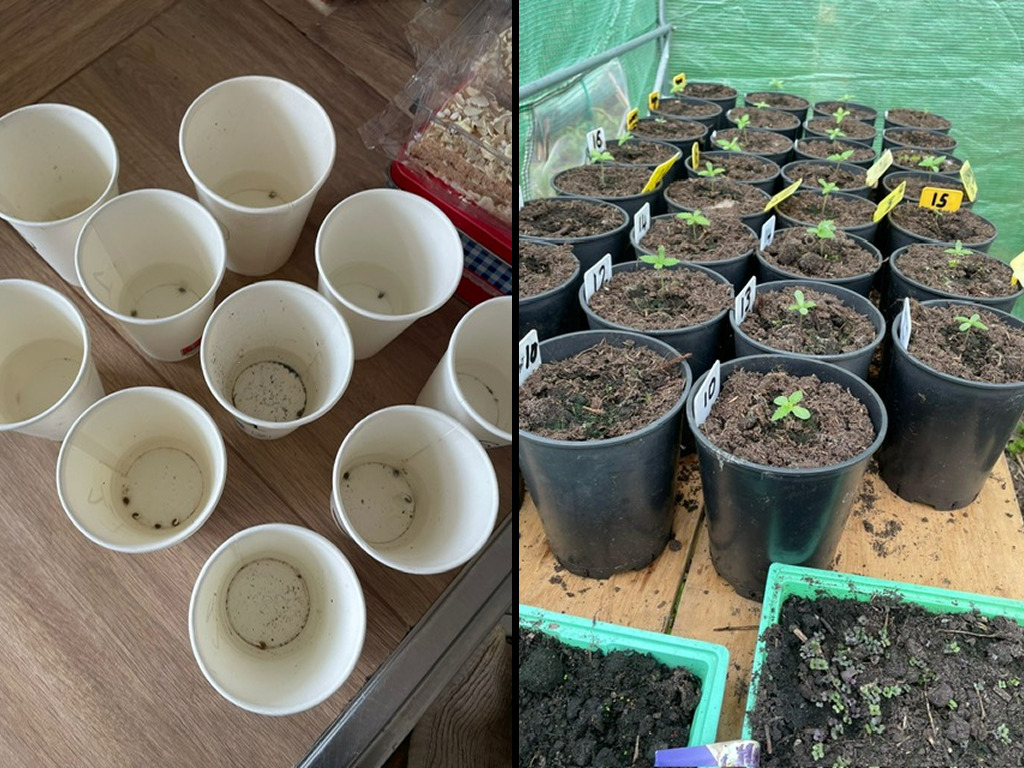 Met zoveel planten moet je alles goed nummeren.