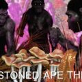 Mensen zijn altijd stoners geweest - archeologie bewijst het