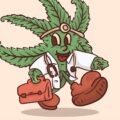 Cannabis verlaagt kans op diabetes, obesitas en hoge bloeddruk