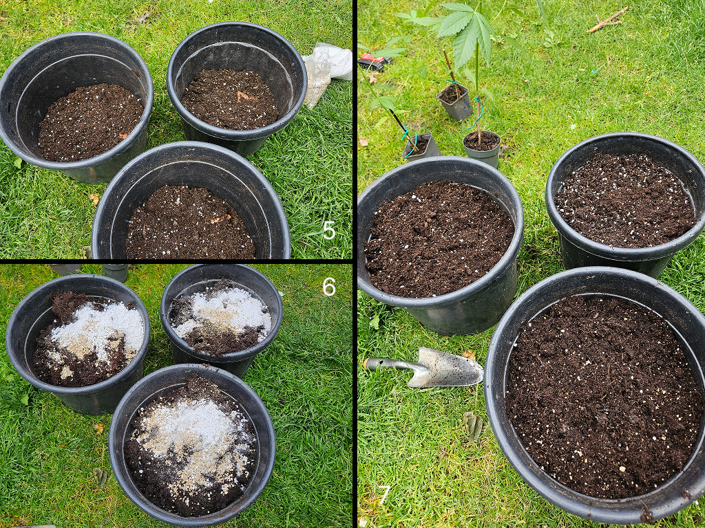 Planten worden in hun nieuwe pot gezet door Luuk