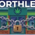 De 'legale cannabis leugen' - waarom iedereen failliet gaat!
