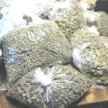 Cannabis foto’s • 6 'ORANJE' beelden uit de oorlog tegen wiet (#96)