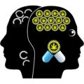 Klinische studie: positief effect CBD en THC bij zware dementie