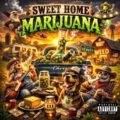 Muziek & humor met klassieker 'Sweet Home <del>Alabama</del> Marijuana'