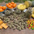 Kush, Cheese, Haze... 12 favoriete wietsoorten en hun belangrijkste terpenen