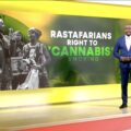 Rasta's in Kenia krijgen geen legale wiet als 'heilig sacrament'