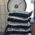 Cannabis foto’s • 6 beelden uit de oorlog tegen wiet (#99)