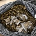 Cannabis foto’s • 6 beelden uit de oorlog tegen wiet (#103)