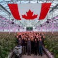Canada verovert titel 'grootste wietmarkt ter wereld' op Californië