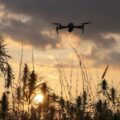 Franse 'luchtmobiele brigade' bezorgt 1.826 keer (!) cannabis in gevangenis