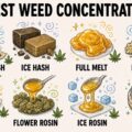 De must know feiten over ALLE cannabis concentraten op een rij