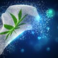 Duitse studie: THC verjaagt nachtmerries bij PTSS-patiënten