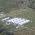 Inheemse Canadees + 7 Chinezen in Mohawk-reservaat opgepakt voor illegale wietteelt