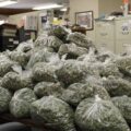 Cannabis foto’s • 6 beelden uit de oorlog tegen wiet (#108)
