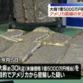 2 vrouwen op een 'gratis' trip naar Japan komen nog lang niet naar huis