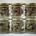Wiet droog? Doe het in 1 van deze 10 cure potten + 3 slimme curing tips
