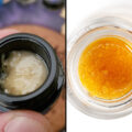 Het verschil tussen <i>rosin</i> en <i>resin</i>: wat is beter?