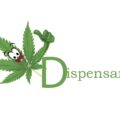 Consument vertrouwt coffeeshop meer dan arts en overheid met wiet-info