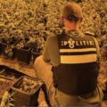 Cannabis foto’s • 6 beelden uit de oorlog tegen wiet (#113)