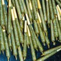 Onbegrip en volkswoede om rechtszaak Anita en coffeeshop stash